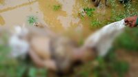 Penemuan mayat di Kelurahan Teluk Kenali, Kecamatan Telanaipura, Kota Jambi