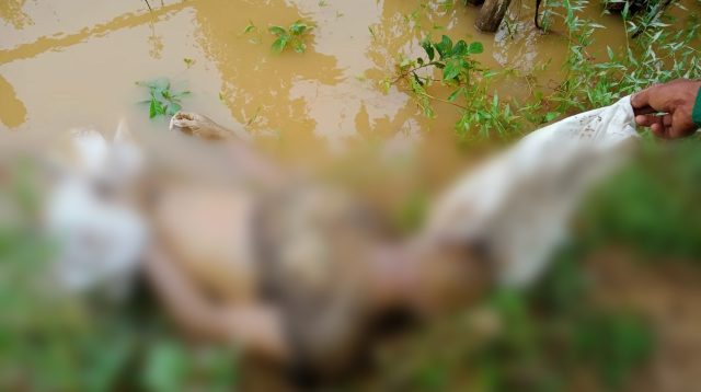 Penemuan mayat di Kelurahan Teluk Kenali, Kecamatan Telanaipura, Kota Jambi