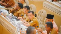 Gubernur Jambi Al Haris hadiri RDP Nasional di DPR RI