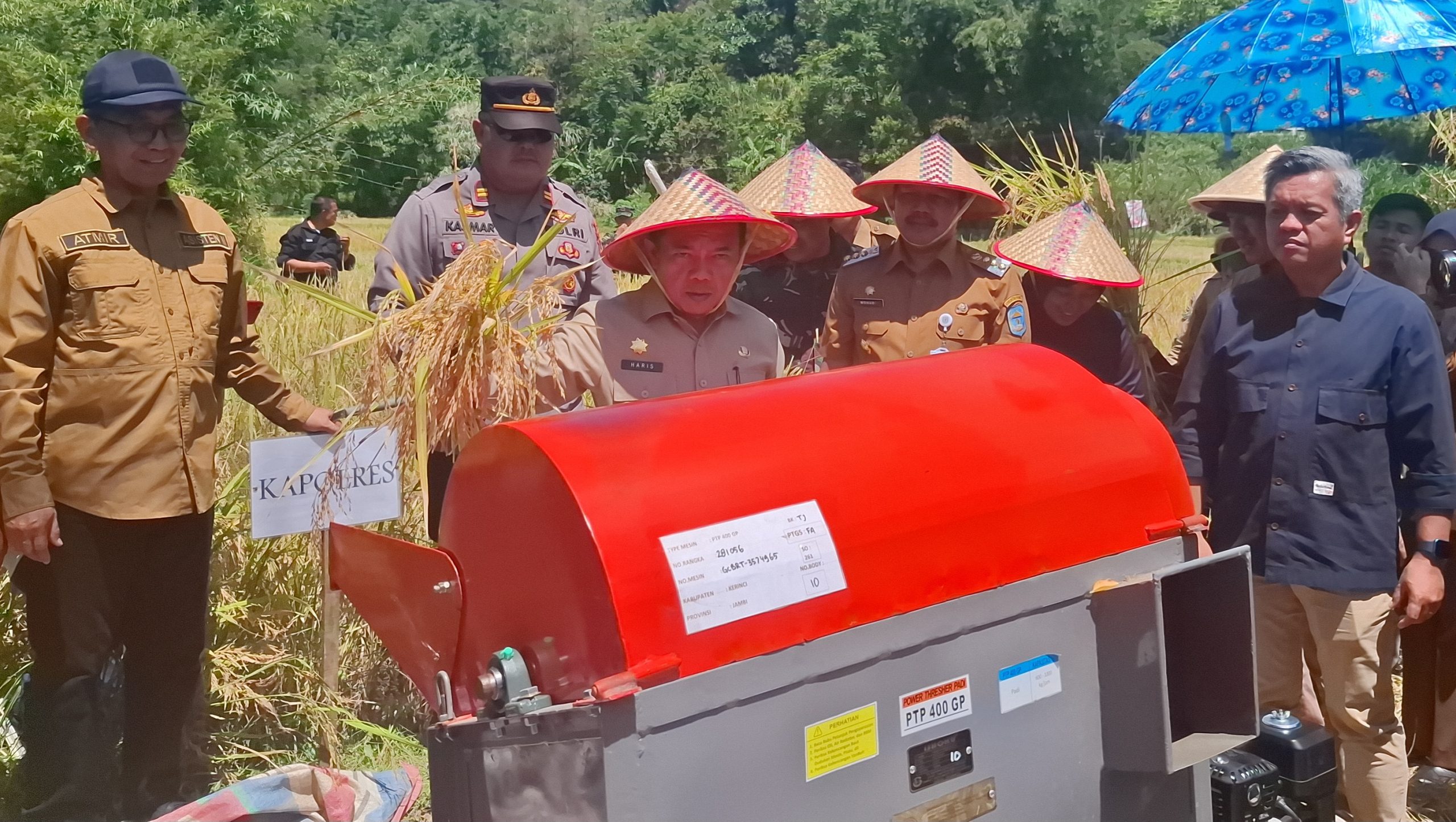 Gubernur Jambi Al Haris panen padi di Kabupaten Kerinci