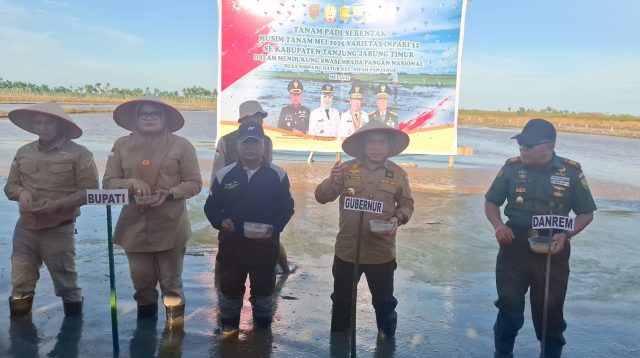 Gubernur Jambi Al Haris menanam padi di Kabupaten Tanjung Jabung Timur