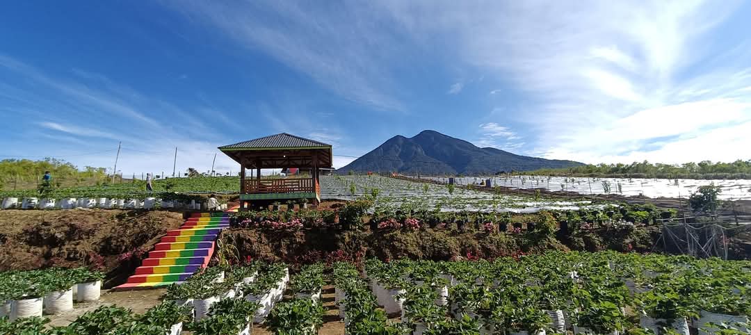 Farenza Garden, di Desa Renah Alai, Kecamatan Jangkat, Kabupaten Merangin, Provinsi Jambi