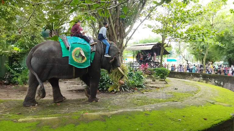 Kebun Binatang Taman Rimba, Jambi