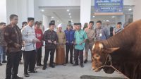 Gubernur Jambi Al Haris serahkan bantuan sapi kurban seberat 1 ton dari Presiden RI, Prabowo Subianto