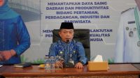 Gubernur Jambi Al Haris