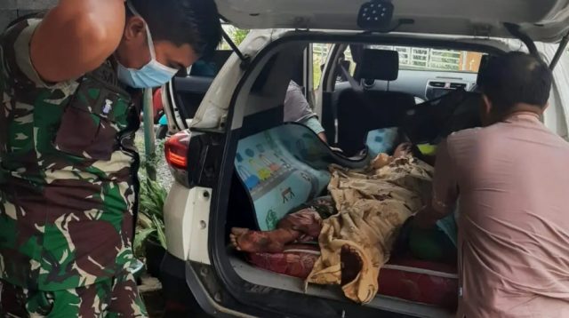 Warga Pangkalan Jambu Merangin diterkam dua harimau sumatera (poto:riky/pariwarajambi.com)