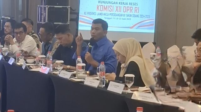 Anggota DPR RI, Komisi Xll, Rocky Chandra