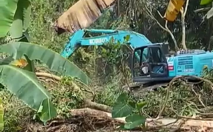 PT Sinar Anugerah Sukses melakukan land clearing