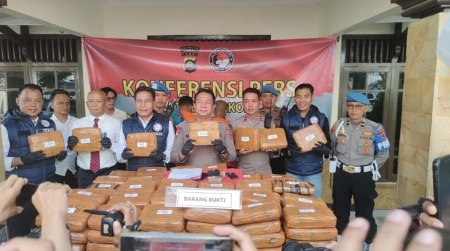 Barang bukti ganja yang berhasil digagalkan Polresta Jambi