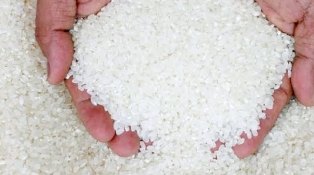 Dishanpan Jambi tegaskan tak ada neras palsu di Tanjabtim