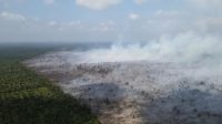 Karhutla di Kabupaten Muaro Jambi (dok/BPBD Provinsi Jambi)