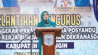 Ketua TP PKK, Dekranasda, Bunda PAUD, dan Pembina Posyandu Provinsi Jambi, Hesnidar Haris
