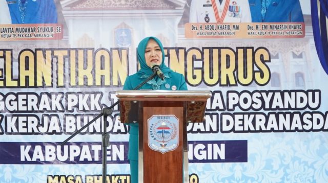 Ketua TP PKK, Dekranasda, Bunda PAUD, dan Pembina Posyandu Provinsi Jambi, Hesnidar Haris