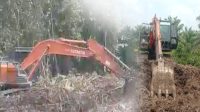 Tampak Alat sedang melakukan pembabatan hutan Lindung dan di amankan oleh Polisi Tanjabtim