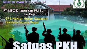 PT MPG di laporkan PRI Bumi ke Jagung RI. doc.ilustrasi VOJ