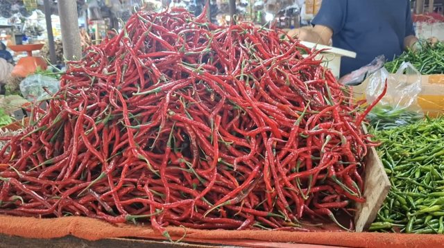 TPID Jambi turunkan harga cabai