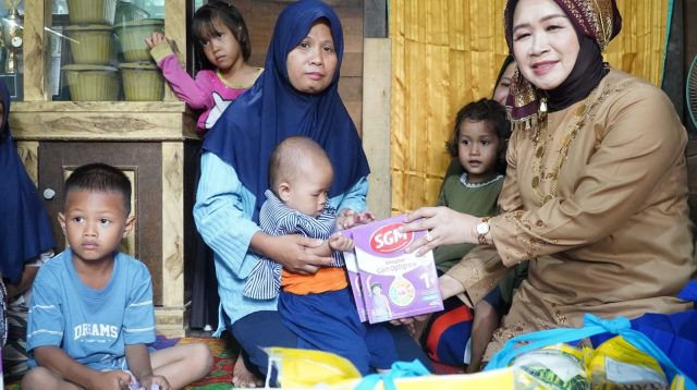 Ketua PKK Provinsi Jambi, Hesti Haris