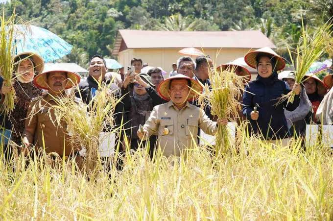 Gubernur Jambi Al Haris memanen padi bersama Bupati Kerinci Monadi